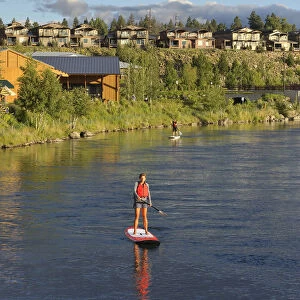 Paddle boarding on the Deschutes river, Old Mill district, Bend, Central Oregon, USA