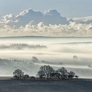 View across the Blackmore Vale from Melbury Hill near Shaftesbury, Dorset, England, UK