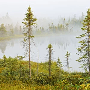 Canada, Ontario, Torrance Barrens Dark Sky Preserve. Fog on Highland Pond. Credit as