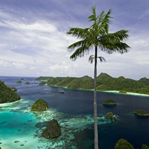 Indonesia, New Guinea Island, Papua, Raja Ampat. Phinisi schooner anchored in scenic harbor