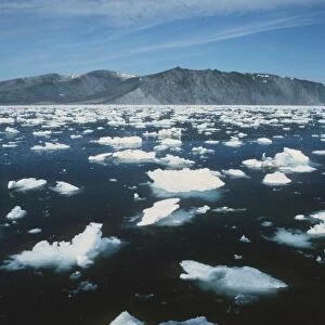 USA, Alaska, Bering Sea, St. Matthews Island, Bull Seal Bay with melting sea ice