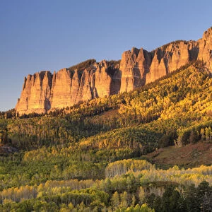 USA, Colorado. Autumn color below Cimarron Ridge