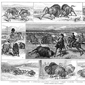 BUFFALO HUNTING, 1884. Scenes of buffalo and buffalo hunting. Engraving, American, 1884