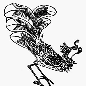 CHINESE MYTHOLOGY: PHOENIX. Chinese phoenix, symbol of peace and prosperity. Line engraving
