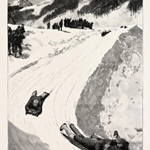 Tobogganing at St. Moritz, Engadine, Switzerland, Sled, Bobsleigh, Engraving 1890