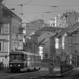 Brno Old town Street Architecture and Tram 5