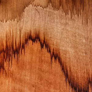 Wood stains photographed from a close up point of view, Wyndham, Western Australia, Australia