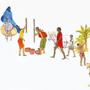 Digital illustration of the people of Tuareg, Ashanti, Masai, Pygmy and Bushmen tribes of Africa