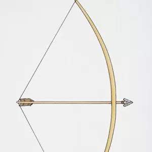 Illustration, bow and arrow in fully-drawn position