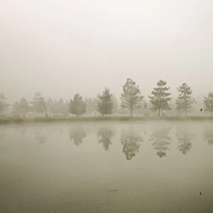 Reflections in the fog