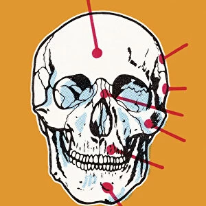 Skull on Orange Background