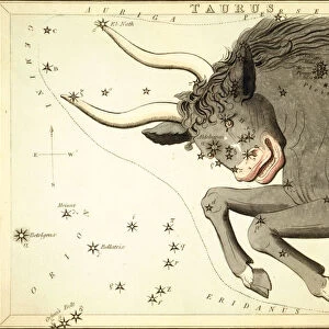 Taurus, Second Astrological Sign of the Zodiac