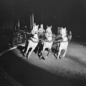 Wonders of the Imperial Circus at the Crystal Palace. Miss Polly Ginnett driving