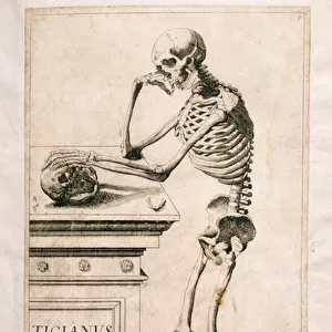 Anatomical study, by Domenico Maria Bonavera (b. 1640) (etching and drypoint)
