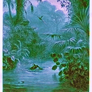 Atala and Chactas Crossing a River, illustration from The Dore Gallery, engraved by Heliodore Joseph Pisan (1822-90), published c. 1890 (digitally enhanced image)
