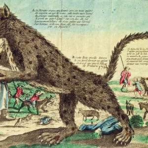 Attacks by the beast of Gevaudan in 1764 (colour engraving)