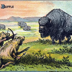 Buffalo hunting scene. Hunters disguished with beast skin beating a bison from their