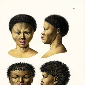 Bushmen, 1824 (colour litho)