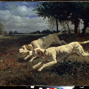 Chiens a la course (Running dogs). Peinture de Constant Troyon (1810-1865). Huile sur toile, 75 x 11 cm, 1853. Ecole francaise de Barbizon. Musee des Beaux Arts Pouchkine, Moscou