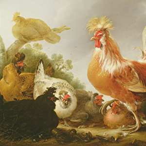 Cockerel and hens in a landscape, 1649 (oil on canvas)