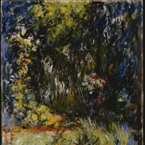 Corner of a Pond with Waterlilies, 1918 (oil on canvas)