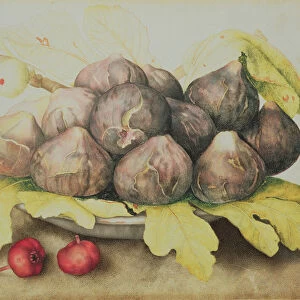 Figs (oil on canvas)