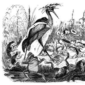 The Frogs ask the King, illustration from Fables of La Fontaine