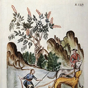 Indians ploughing a field with dogs, from the book "Trujillo del Peru"or "