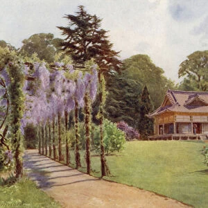 The Japanese House and Wistaria Pergola, Bagshot Park (colour litho)