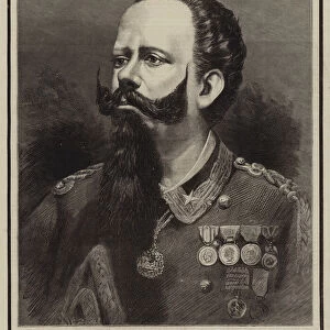 The Late King Victor Emmanuel II (engraving)