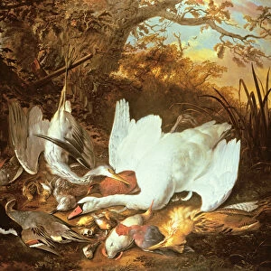 Still Life of Swan and Game in a Landscape