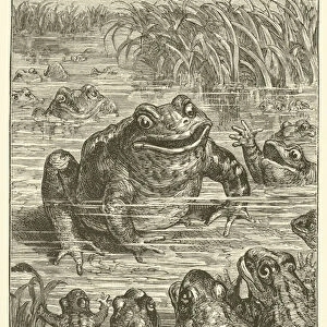Mr frog makes a speech (engraving)