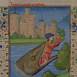 Ms H 7 f. 111r Jonah and the Whale, from the Bible of Jean XXII (vellum)