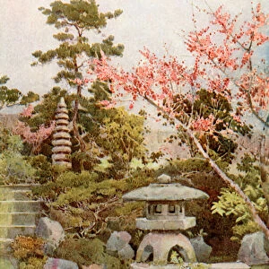 An Old Garden (colour litho)