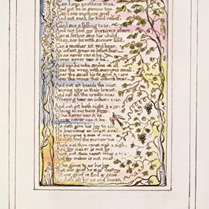 P. 124-1950. pt28 On Anothers Sorrow: plate 28 from Songs of Innocence
