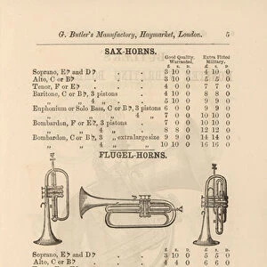Page from G Butlers Illustrated Catalogue of Musical Instruments (engraving)