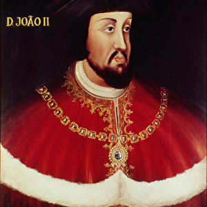 Portrait of John II of Portugal (1455-95) (panel)