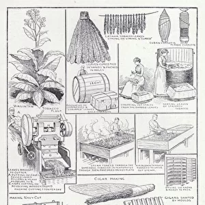 The processes of tobacco manufacture (litho)