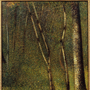 Sous bois a Pontaubert Painting by Georges Seurat (1859-1891) 1881 Sun