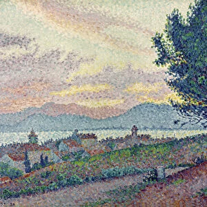 St. Tropez, Pinewood, 1896 (oil on canvas)
