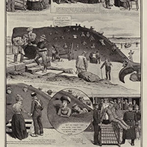 The Whale Cure for Rheumatism in Australia (litho)