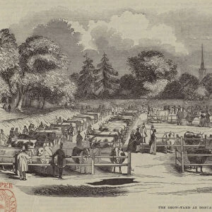 The Show Yard, Doncaster (engraving)