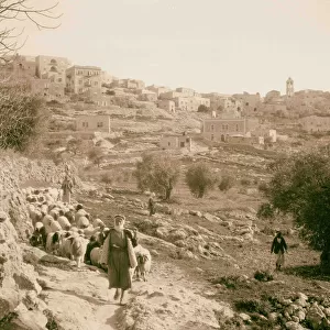 Bethlehem South side shepherd flock 1934 West Bank