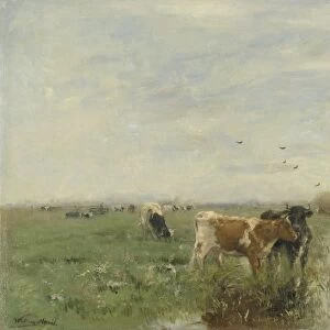 Cows in a Soggy Meadow, Willem Maris, 1860 - 1900