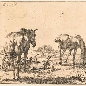 Two horses and a plow, Karel Dujardin, 1657
