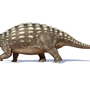 3D rendering of an Ankylosaurus dinosaur