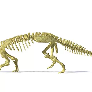 3D rendering of an Ankylosaurus dinosaur skeleton