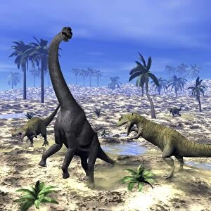 Allosaurus dinosaurs attacking a Brachiosaurus in the desert