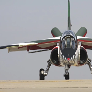 An Alpha Jet of the Portuguese Air Force demo team