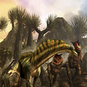 Amargasaurus is fending off a pack of Carnotaurus